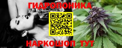 МДМА Ачхой-Мартан