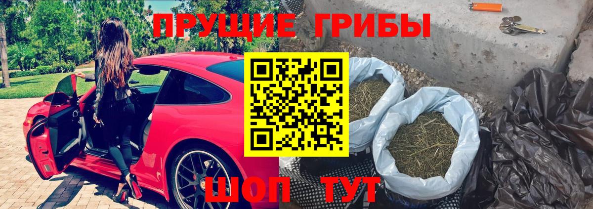 Псилоцибиновые грибы GOLDEN TEACHER Нижний Тагил