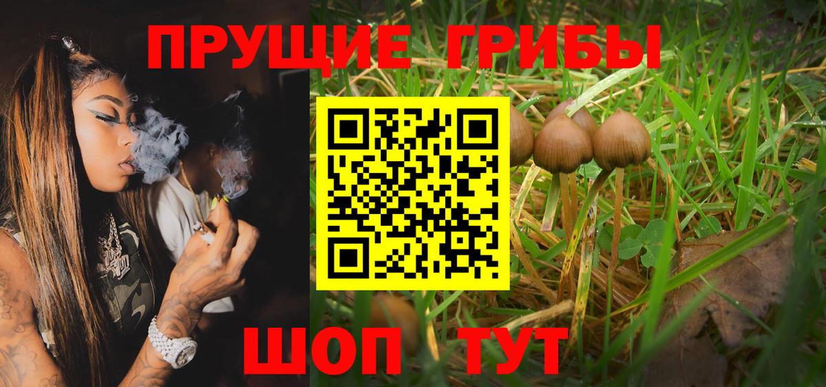 Галлюциногенные грибы GOLDEN TEACHER  Вход с VPN  Нижний Тагил 